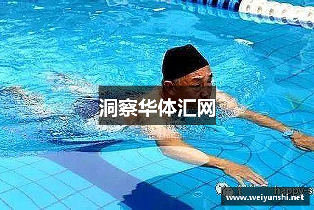 洞察华体汇网